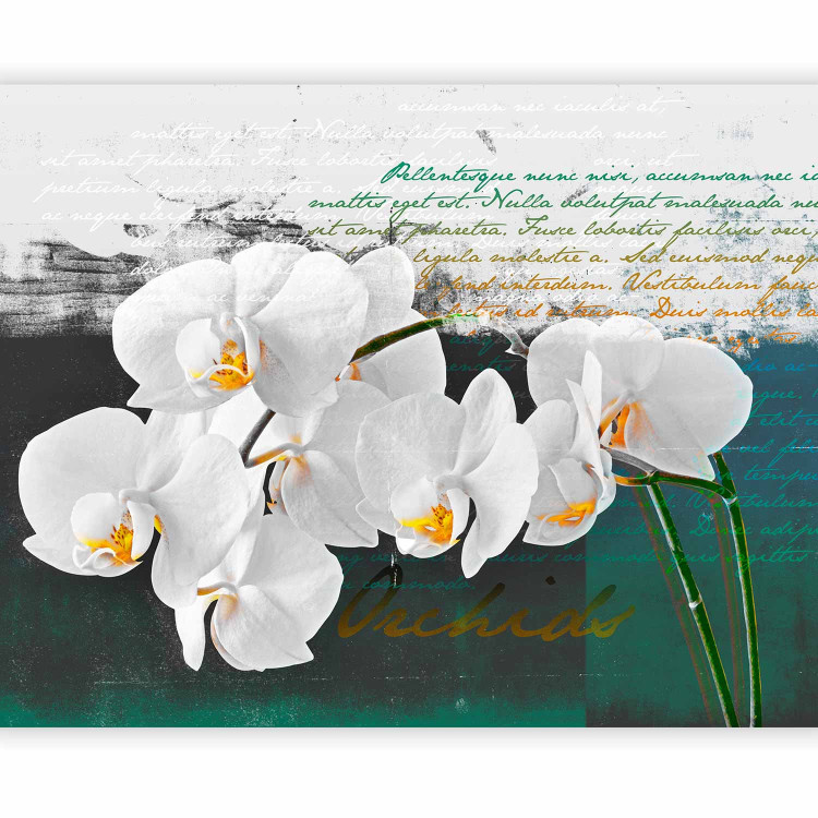 Wall Mural Orchid - Poet's Inspiration is a White Floral Motif with Inscriptions in the Background 60630 additionalImage 1