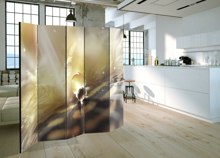 Room Divider Magical Feather II - feather with water drops on warm light background 97430 additionalImage 2