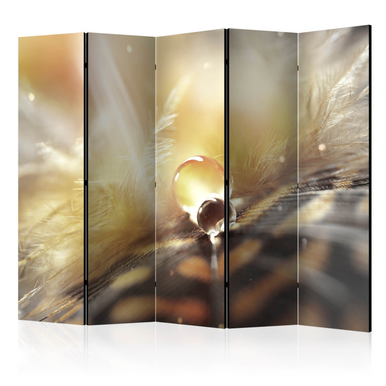 Room Divider Magical Feather II - feather with water drops on warm light background 97430