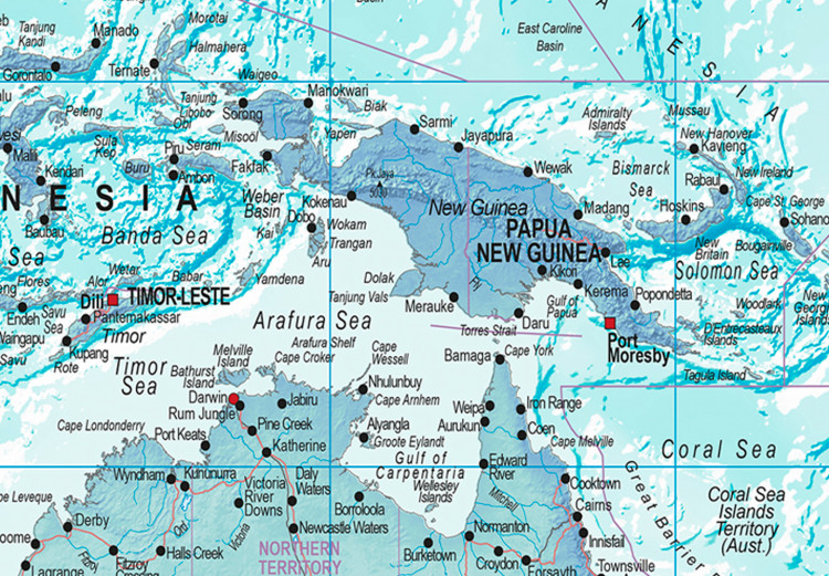 Cork Pinboard World Map: Sky Blue World [Cork Map] 98030 additionalImage 6