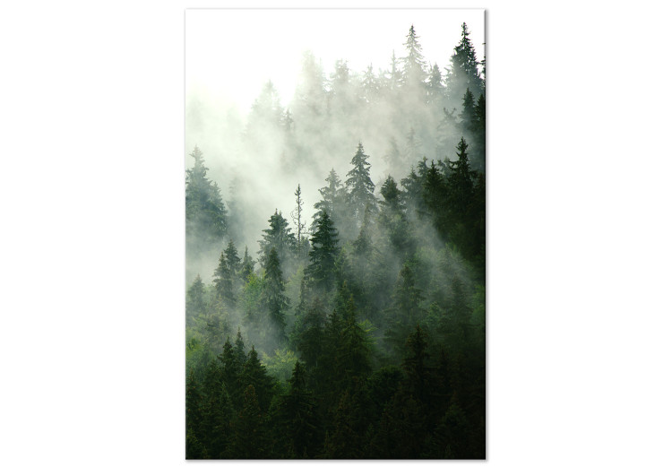 Canvas Art Print Coniferous Forest (1 Part) Vertical 114240