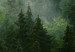 Canvas Art Print Coniferous Forest (1 Part) Vertical 114240 additionalThumb 5