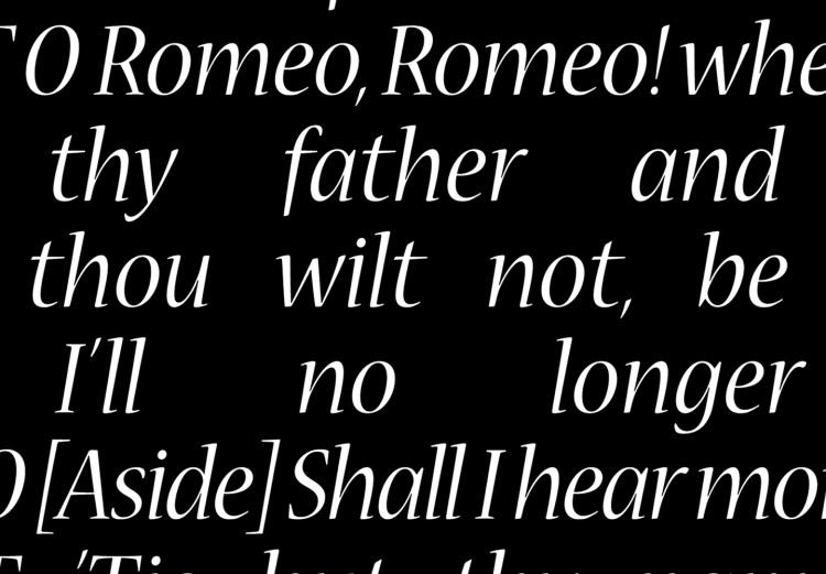 Wall Poster Romeo and Juliet - romantic composition with quotes from Shakespeare's work 114740 additionalImage 9
