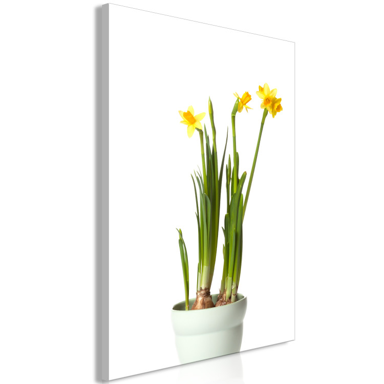 Canvas Narcissus (1 Part) Vertical 116640 additionalImage 2