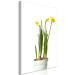 Canvas Narcissus (1 Part) Vertical 116640 additionalThumb 2