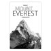 Poster Mount Everest - black and white mountain landscape with English captions 123740