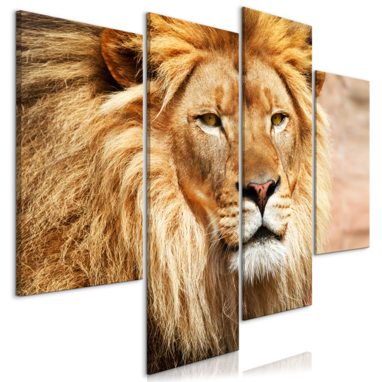 Canvas Art Print King of Animals (4-part) orange - wild cat against the backdrop of Africa 127240 additionalImage 2