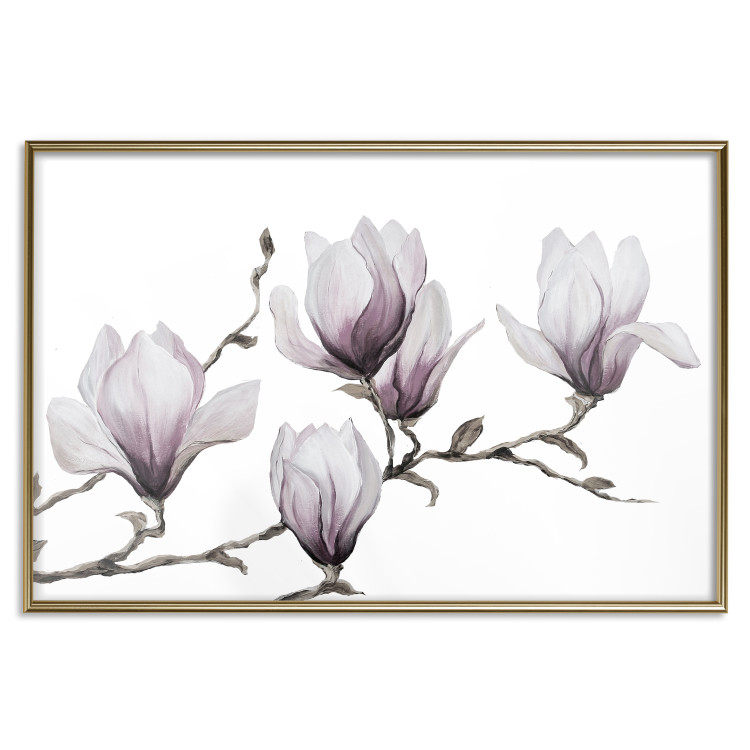 Poster Painted Magnolias - composition of plants with white flowers on a light background 128640 additionalImage 20