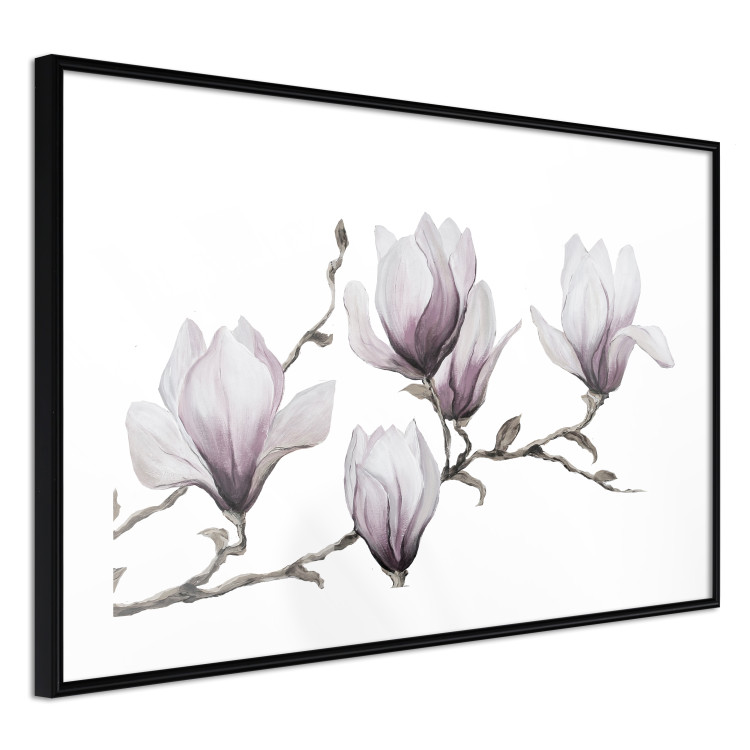 Poster Painted Magnolias - composition of plants with white flowers on a light background 128640 additionalImage 11