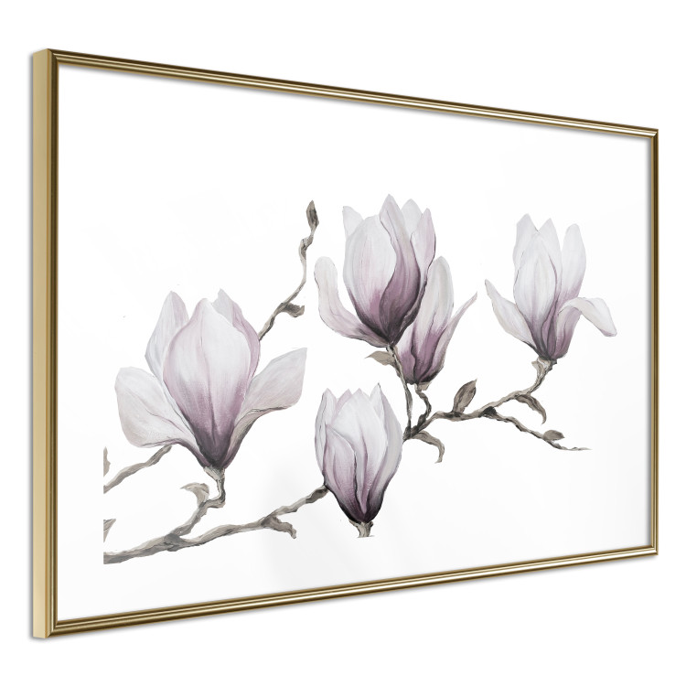 Poster Painted Magnolias - composition of plants with white flowers on a light background 128640 additionalImage 8