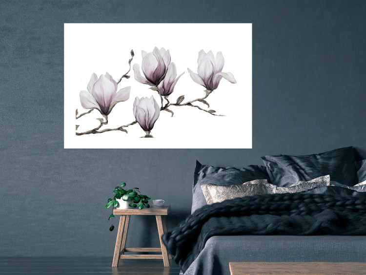 Poster Painted Magnolias - composition of plants with white flowers on a light background 128640 additionalImage 4