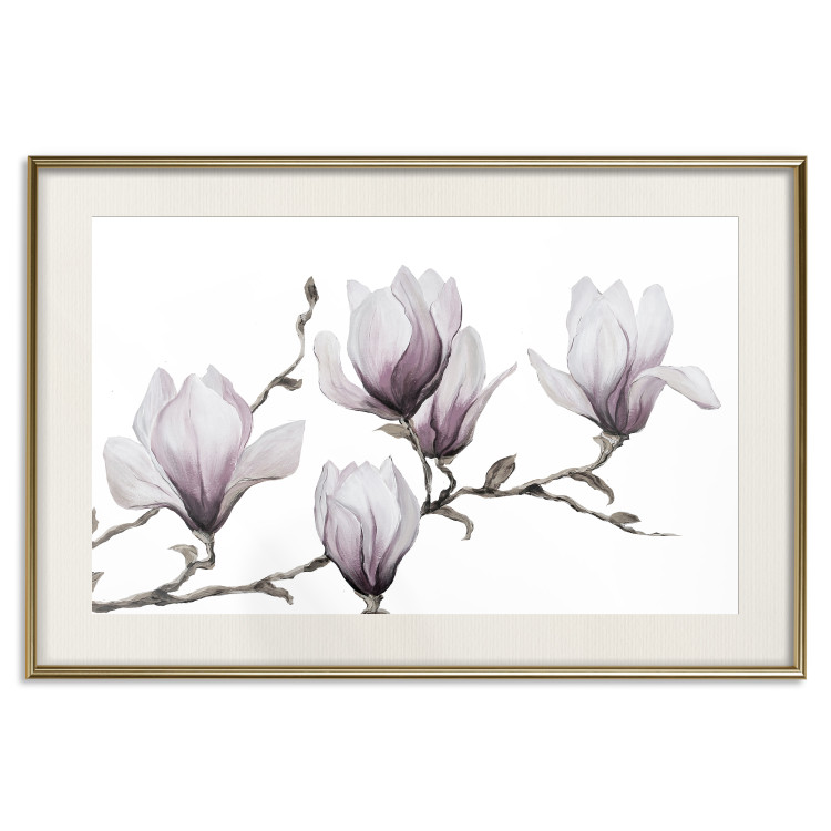 Poster Painted Magnolias - composition of plants with white flowers on a light background 128640 additionalImage 19