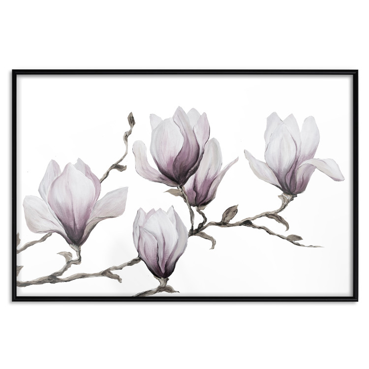 Poster Painted Magnolias - composition of plants with white flowers on a light background 128640 additionalImage 24