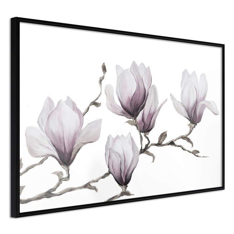 Poster Painted Magnolias - composition of plants with white flowers on a light background 128640 additionalImage 10