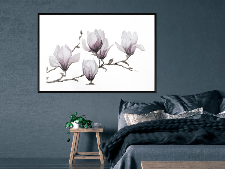 Poster Painted Magnolias - composition of plants with white flowers on a light background 128640 additionalImage 6