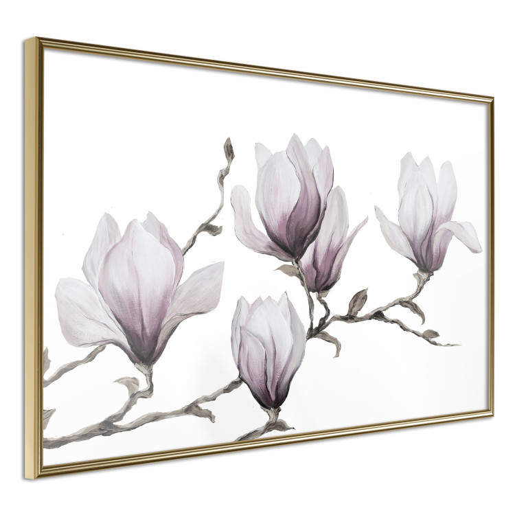 Poster Painted Magnolias - composition of plants with white flowers on a light background 128640 additionalImage 12