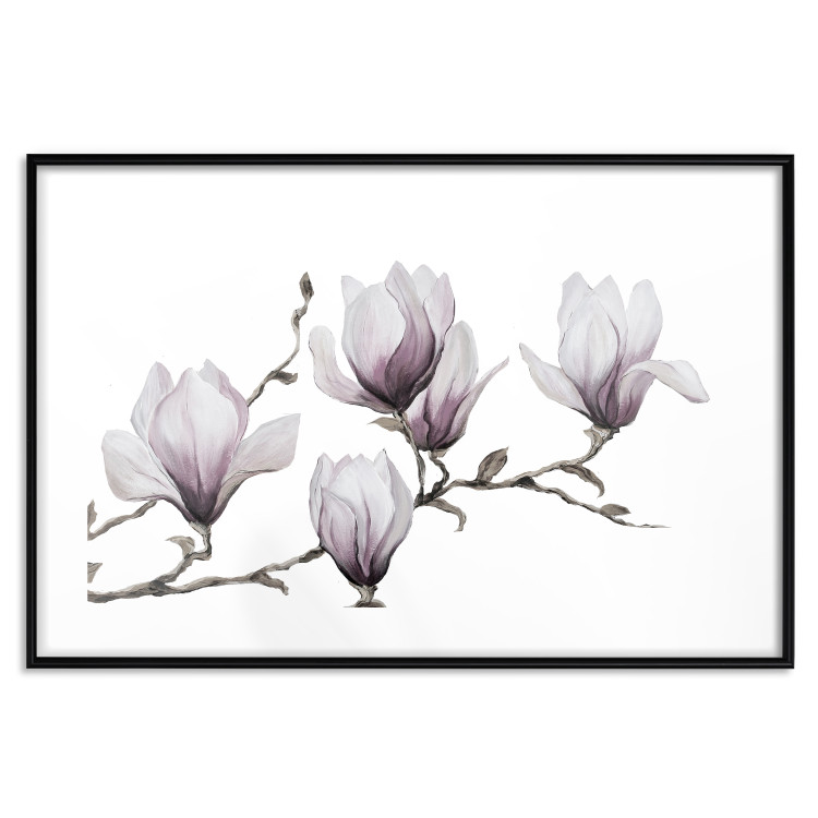 Poster Painted Magnolias - composition of plants with white flowers on a light background 128640 additionalImage 15