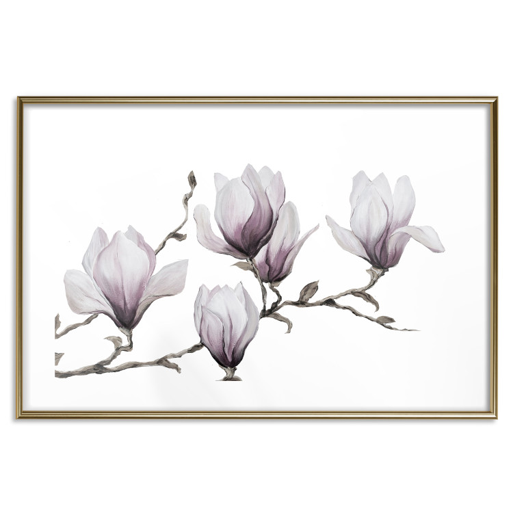 Poster Painted Magnolias - composition of plants with white flowers on a light background 128640 additionalImage 14