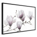 Poster Painted Magnolias - composition of plants with white flowers on a light background 128640 additionalThumb 10
