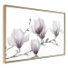 Poster Painted Magnolias - composition of plants with white flowers on a light background 128640 additionalThumb 12