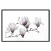 Poster Painted Magnolias - composition of plants with white flowers on a light background 128640 additionalThumb 17
