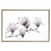 Poster Painted Magnolias - composition of plants with white flowers on a light background 128640 additionalThumb 16