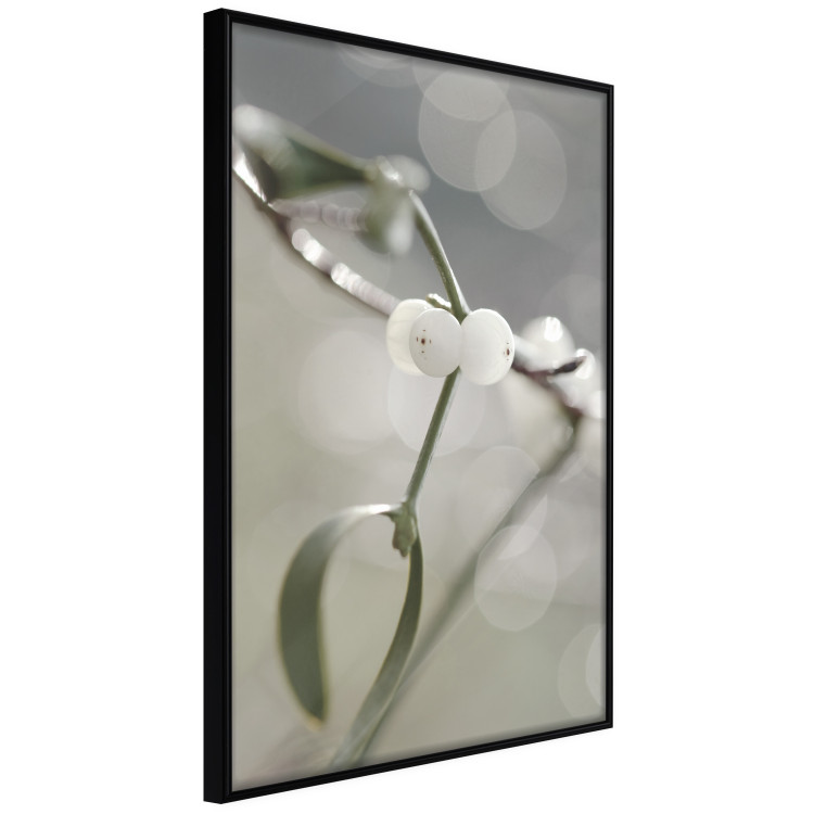 Picture wall Winter plant 132340 additionalImage 2