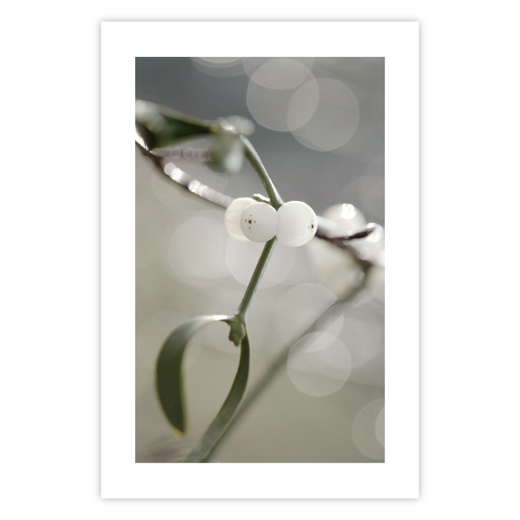 Wall Poster Purity of Mist - composition of a plant with white flowers on a nature background 130740 additionalImage 25