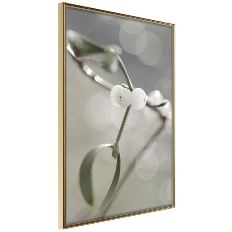 Wall Poster Purity of Mist - composition of a plant with white flowers on a nature background 130740 additionalImage 14