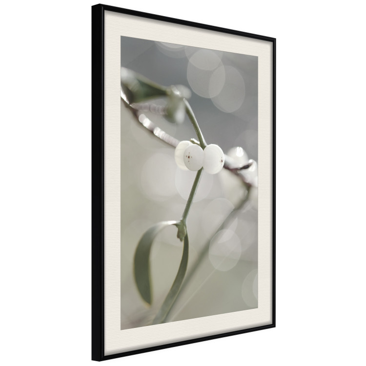 Wall Poster Purity of Mist - composition of a plant with white flowers on a nature background 130740 additionalImage 2