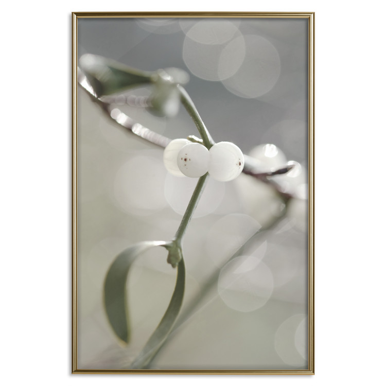 Wall Poster Purity of Mist - composition of a plant with white flowers on a nature background 130740 additionalImage 21