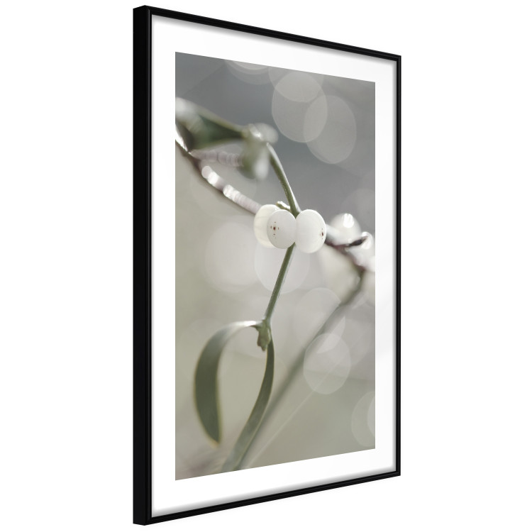 Wall Poster Purity of Mist - composition of a plant with white flowers on a nature background 130740 additionalImage 8