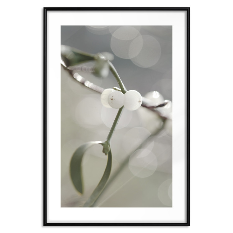 Wall Poster Purity of Mist - composition of a plant with white flowers on a nature background 130740 additionalImage 15