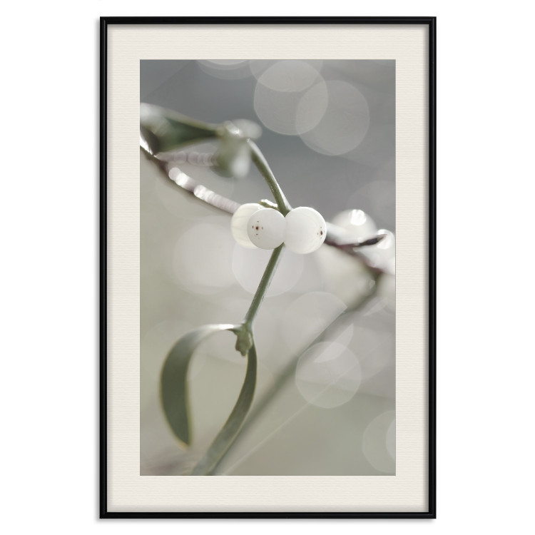 Wall Poster Purity of Mist - composition of a plant with white flowers on a nature background 130740 additionalImage 19