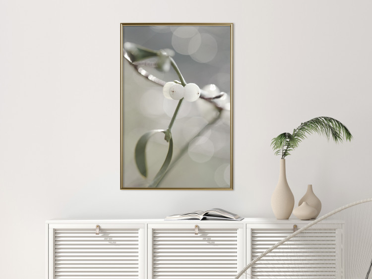 Wall Poster Purity of Mist - composition of a plant with white flowers on a nature background 130740 additionalImage 5