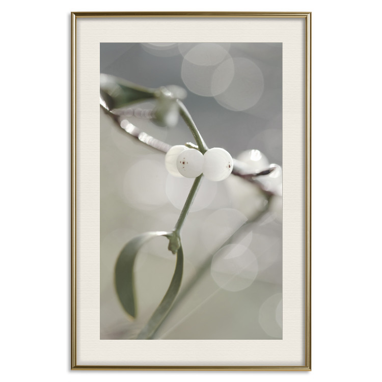 Wall Poster Purity of Mist - composition of a plant with white flowers on a nature background 130740 additionalImage 20