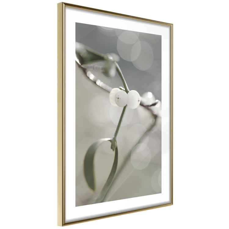 Wall Poster Purity of Mist - composition of a plant with white flowers on a nature background 130740 additionalImage 9