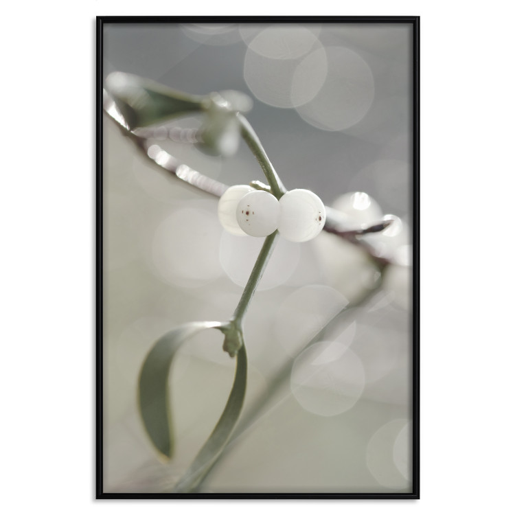 Wall Poster Purity of Mist - composition of a plant with white flowers on a nature background 130740 additionalImage 18