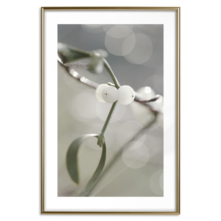 Wall Poster Purity of Mist - composition of a plant with white flowers on a nature background 130740 additionalImage 16