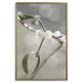 Wall Poster Purity of Mist - composition of a plant with white flowers on a nature background 130740 additionalThumb 17