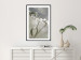 Wall Poster Purity of Mist - composition of a plant with white flowers on a nature background 130740 additionalThumb 18