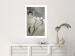 Wall Poster Purity of Mist - composition of a plant with white flowers on a nature background 130740 additionalThumb 5