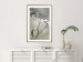 Wall Poster Purity of Mist - composition of a plant with white flowers on a nature background 130740 additionalThumb 15