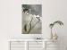 Wall Poster Purity of Mist - composition of a plant with white flowers on a nature background 130740 additionalThumb 4