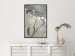 Wall Poster Purity of Mist - composition of a plant with white flowers on a nature background 130740 additionalThumb 6