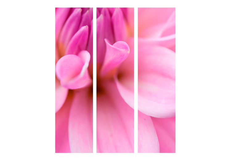 Room Separator Floral Petals - Dahlia - romantic composition of a pink flower 133940 additionalImage 3
