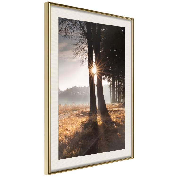 Poster We Are a Gleam - landscape of trees and sun against a forest in mist 138040 additionalImage 4