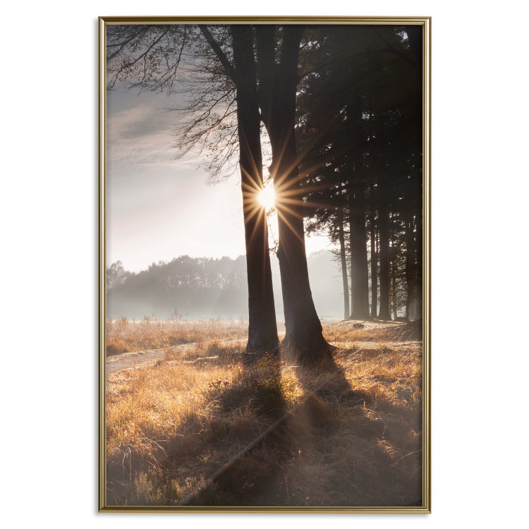 Poster We Are a Gleam - landscape of trees and sun against a forest in mist 138040 additionalImage 9