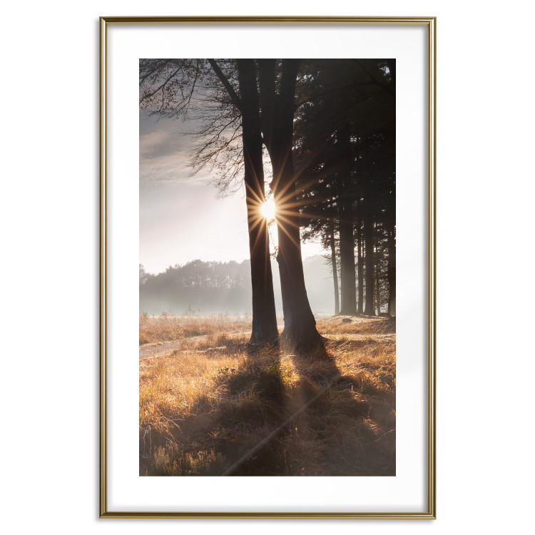 Poster We Are a Gleam - landscape of trees and sun against a forest in mist 138040 additionalImage 14