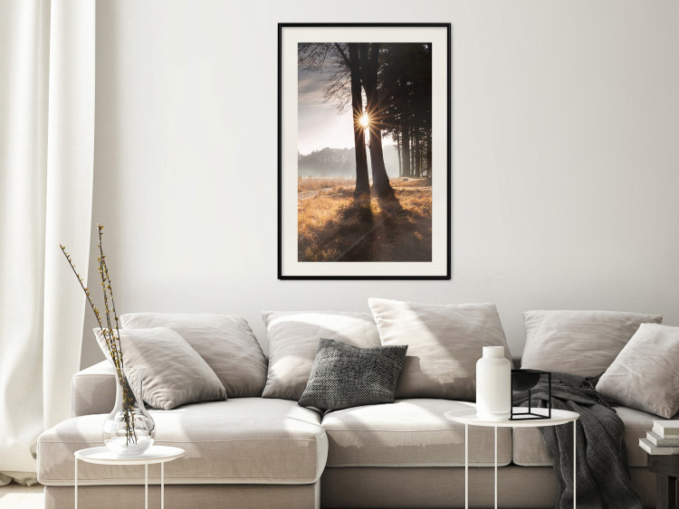Poster We Are a Gleam - landscape of trees and sun against a forest in mist 138040 additionalImage 24
